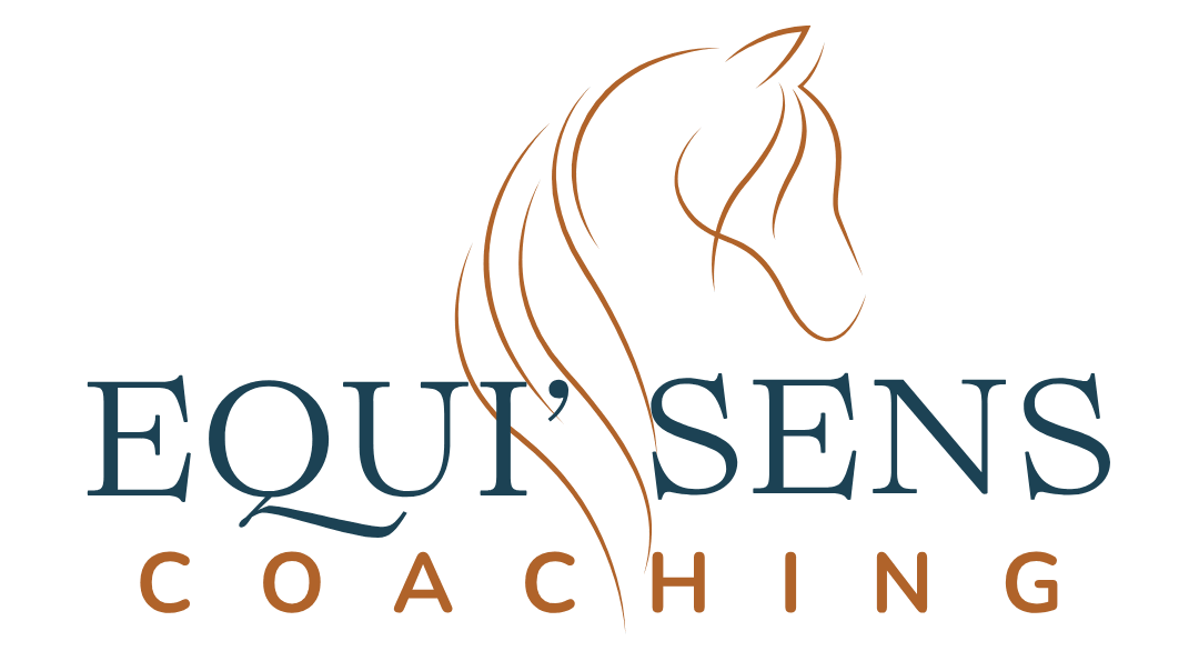 Equi'Sens Coaching – Facilité par le cheval – Occitanie