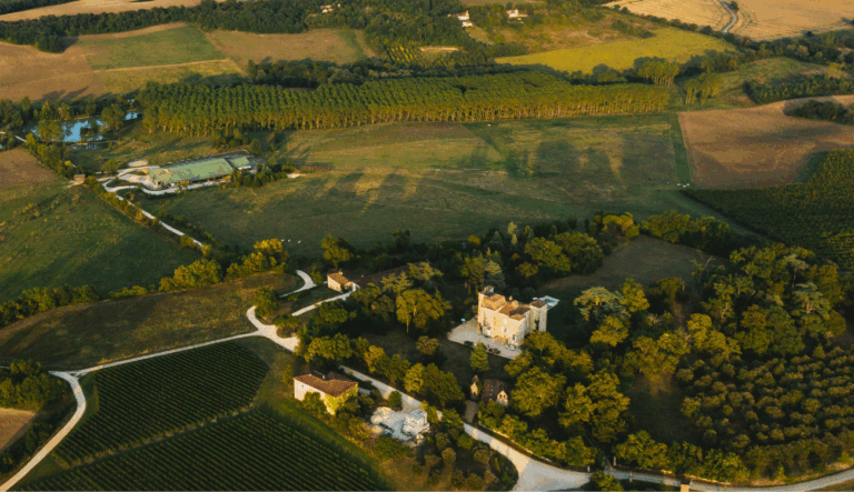 Coaching professionnel facilité par le cheval