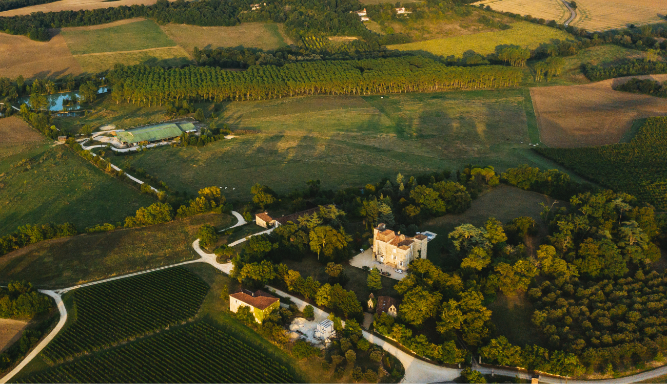 Coaching professionnel facilité par le cheval