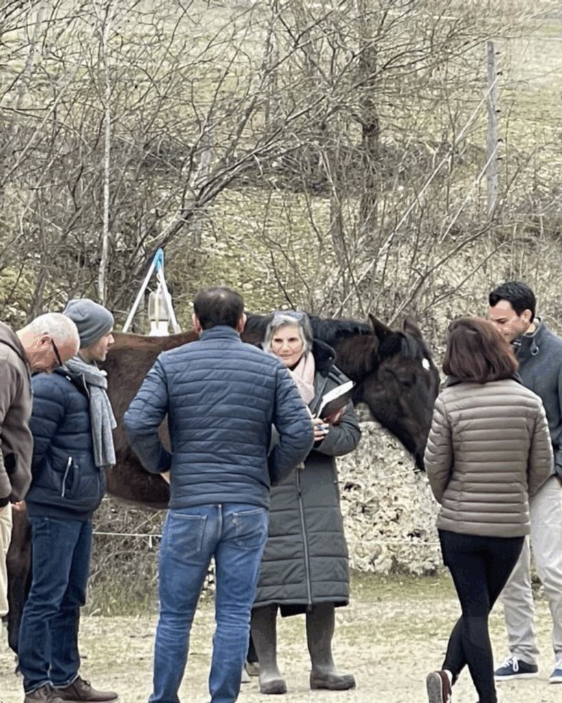 Coaching professionnel facilité par le cheval