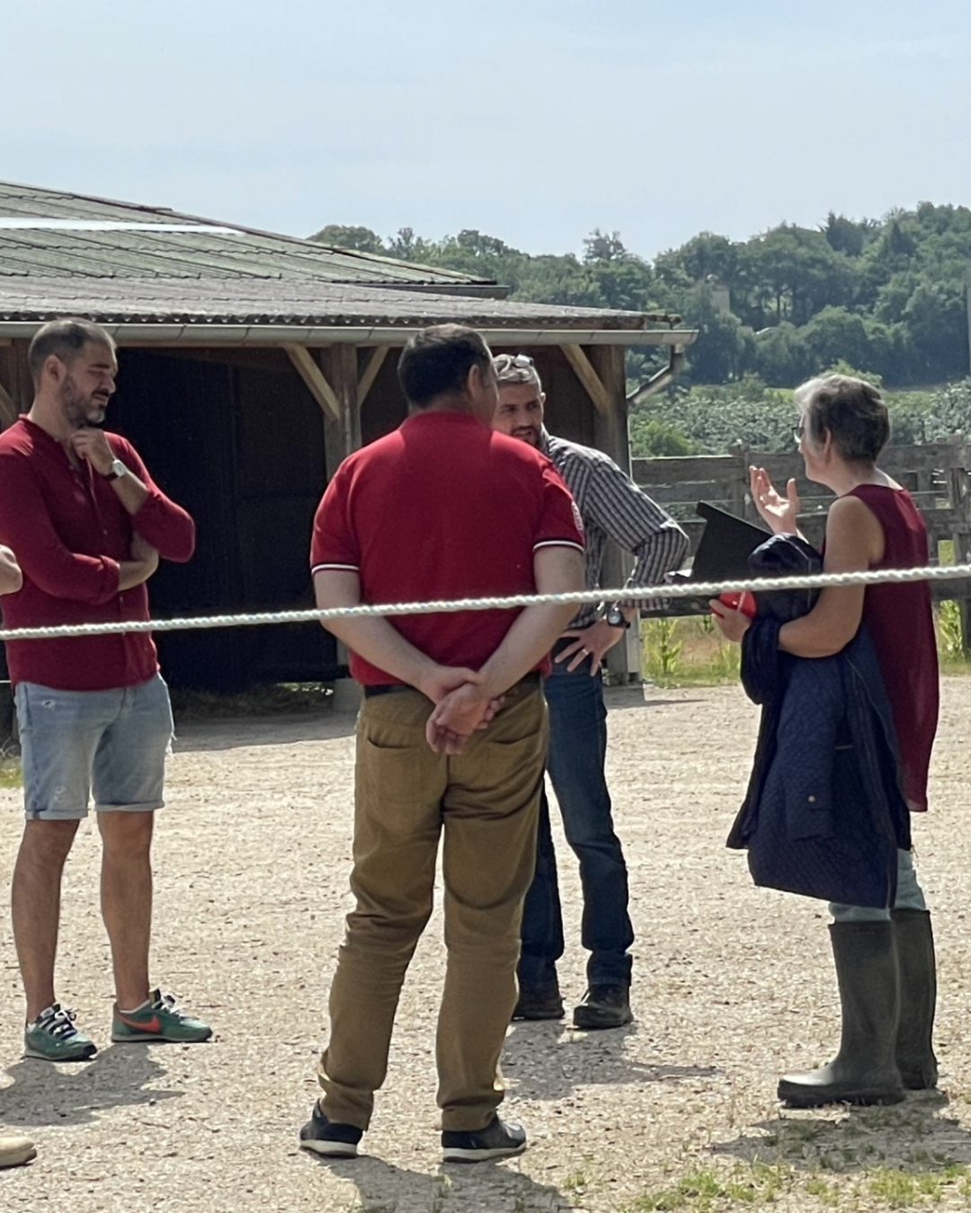 coaching d’équipe grâce au cheval