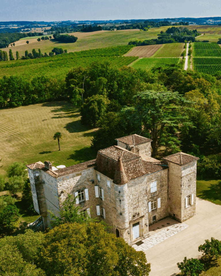 Coaching professionnel facilité par le cheval