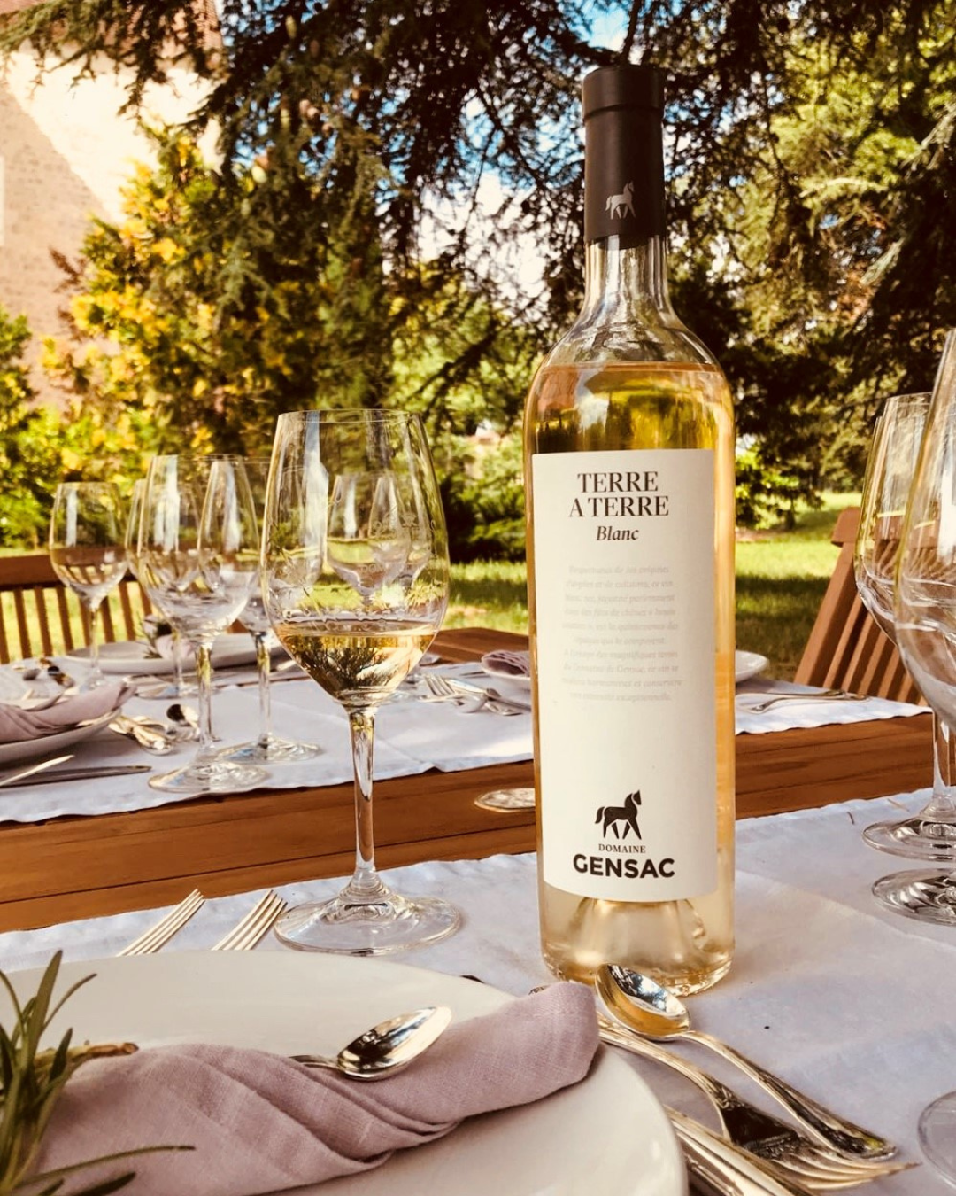 Coaching professionnel facilité par le cheval