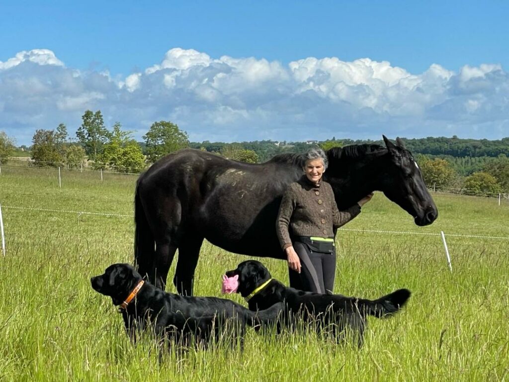 Coaching professionnel facilité par le cheval